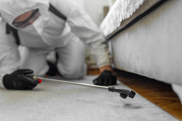 Professional Pest Control technician working in Ely, IA